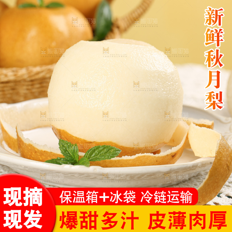 浅底上的秋月梨