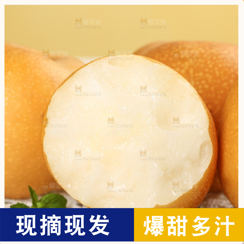 浅底上的秋月梨