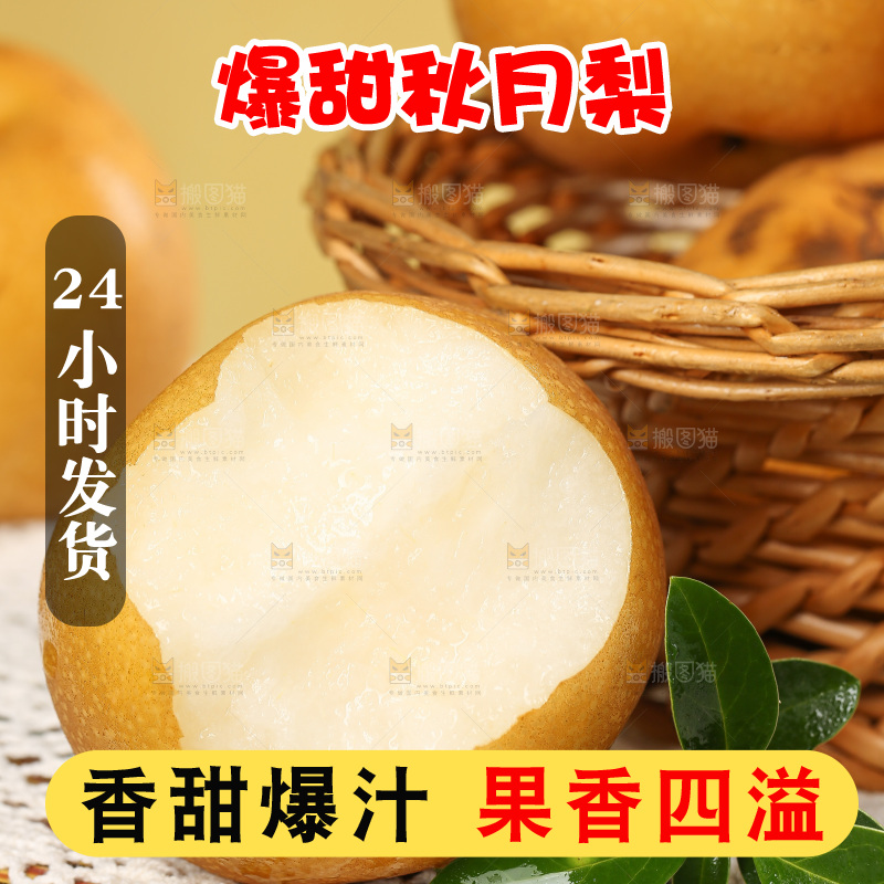 浅底上的秋月梨