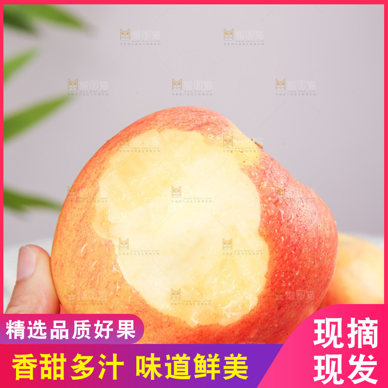 浅底上的嘎啦果