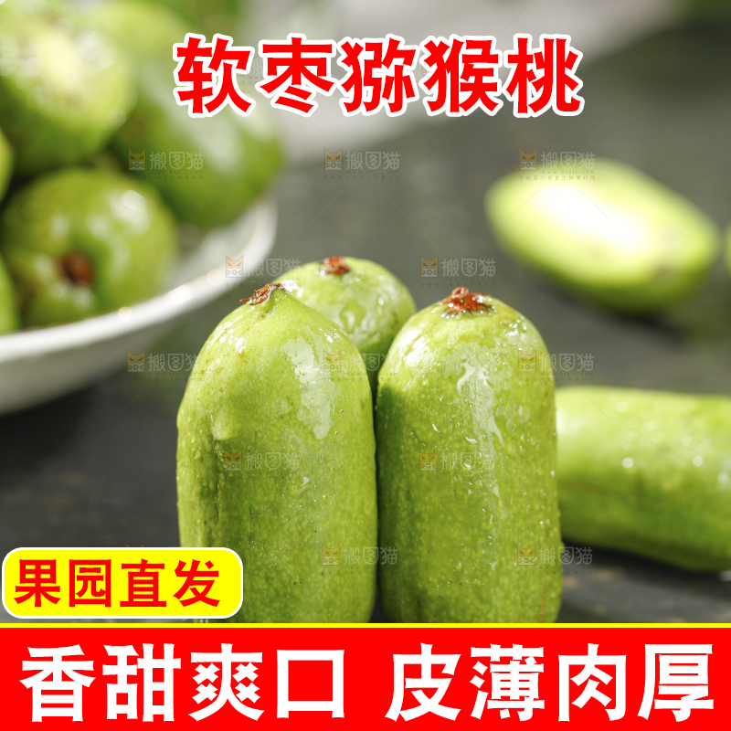 深底上的软枣猕猴桃