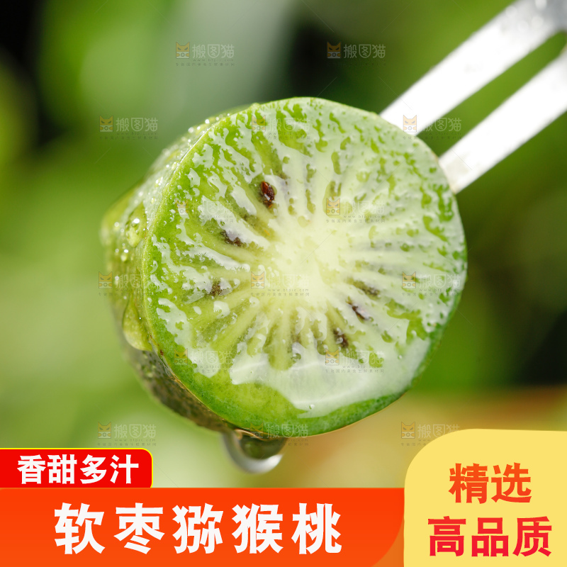 深底上的软枣猕猴桃