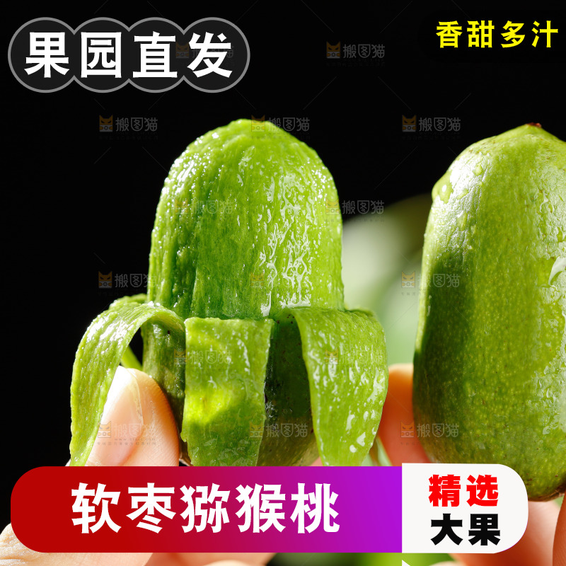 深底上的软枣猕猴桃