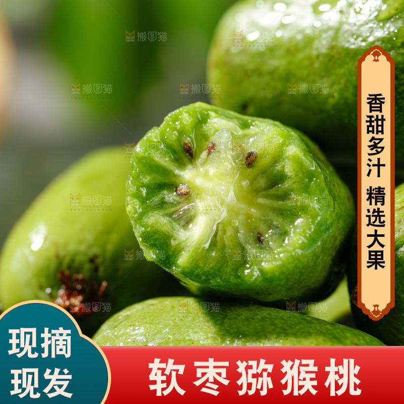 深底上的软枣猕猴桃