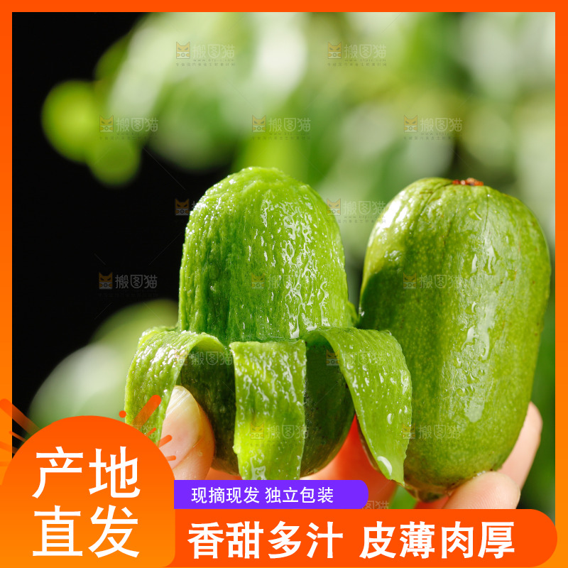 深底上的软枣猕猴桃