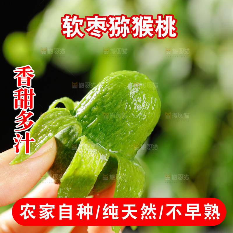 深底上的软枣猕猴桃