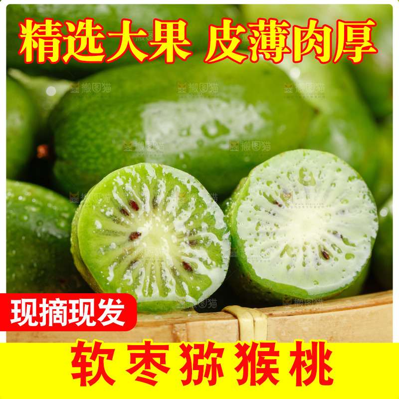 深底上的软枣猕猴桃