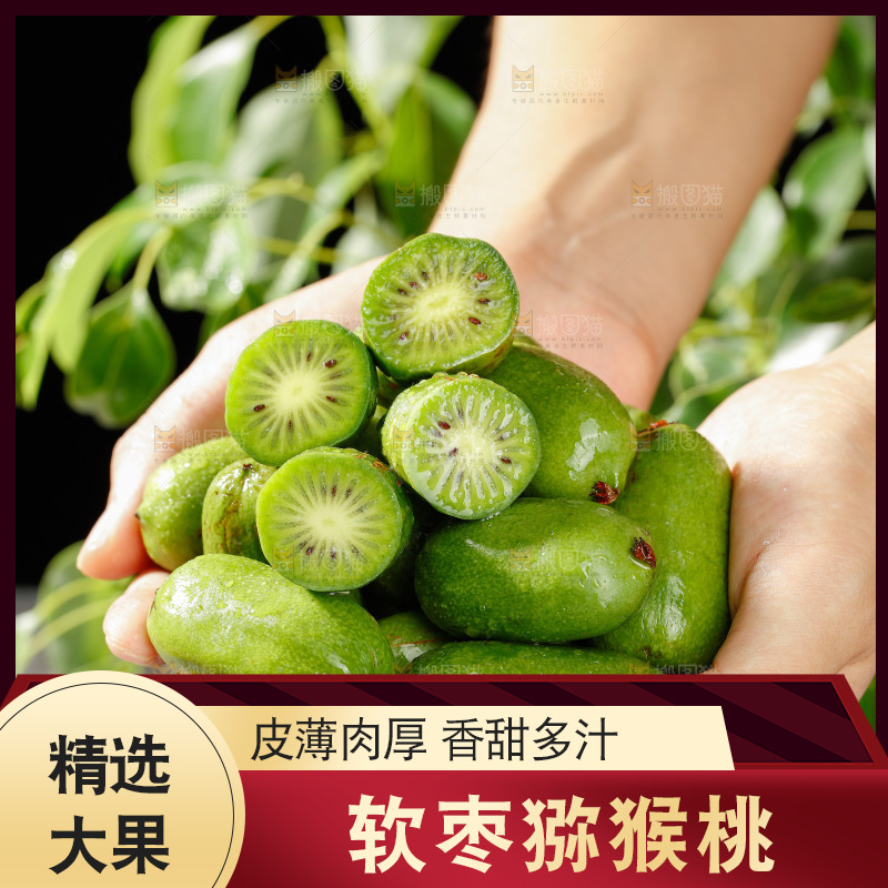 深底上的软枣猕猴桃