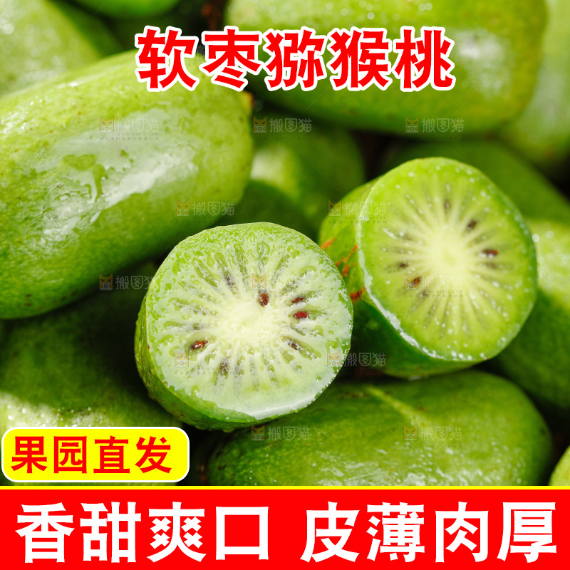 深底上的软枣猕猴桃