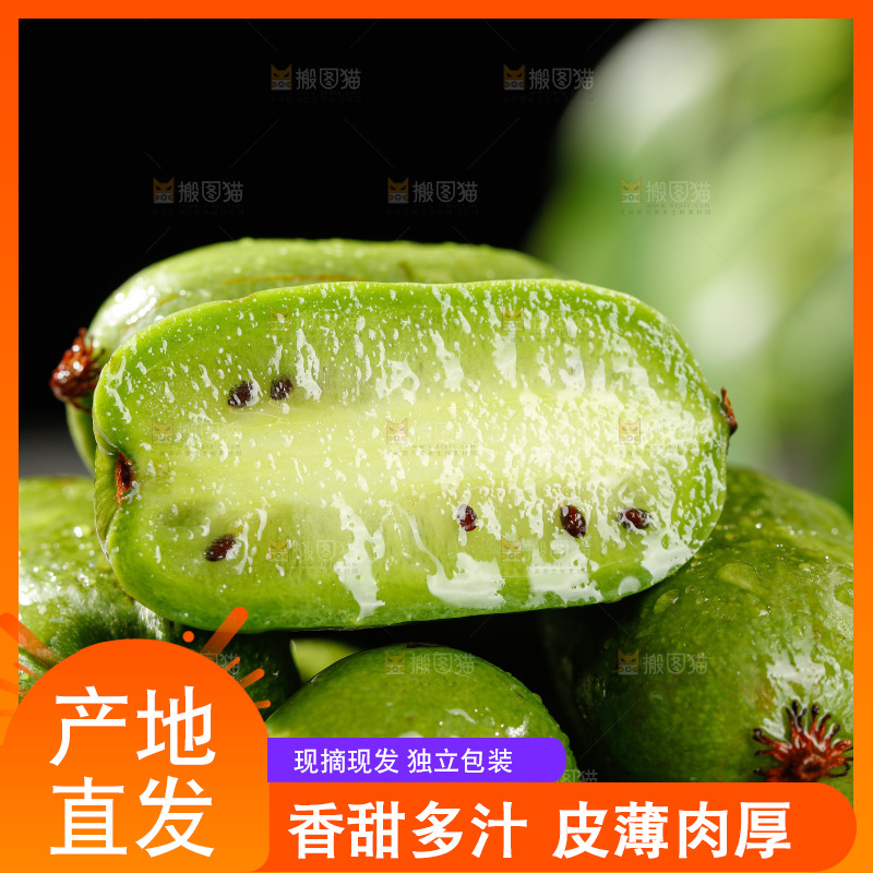 深底上的软枣猕猴桃