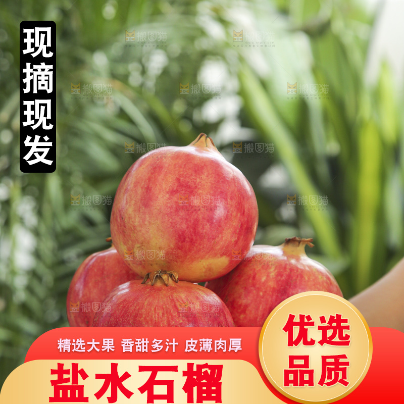 手里拿着会泽盐水石榴