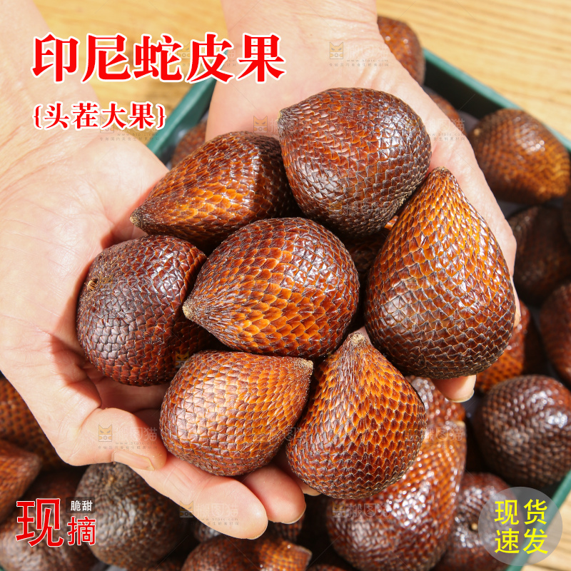 手里拿着蛇皮果