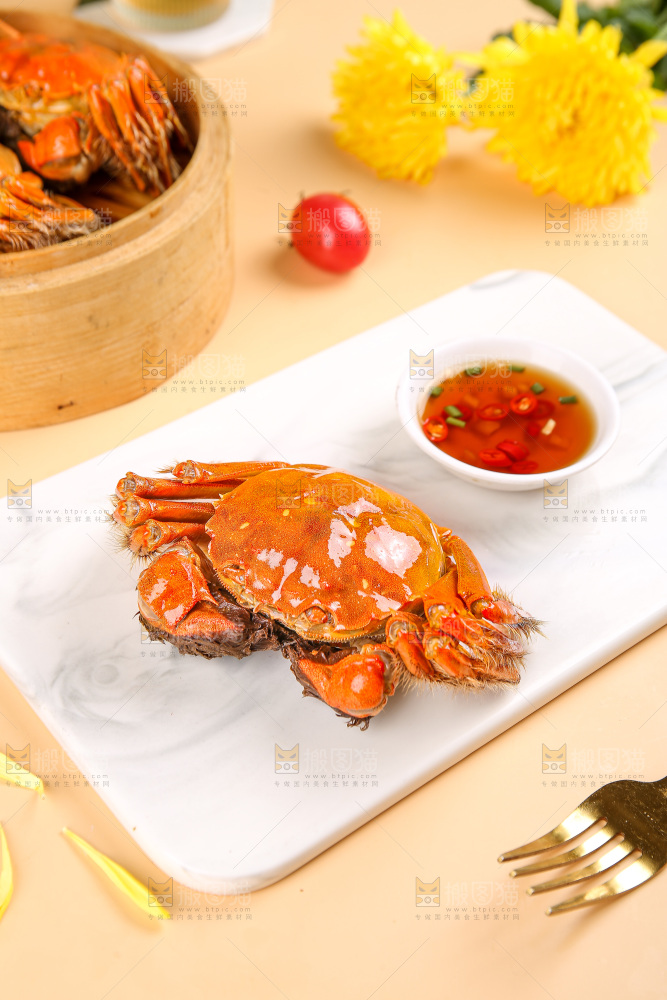浅底上的大闸蟹