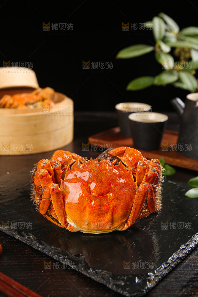 深底上的大闸蟹