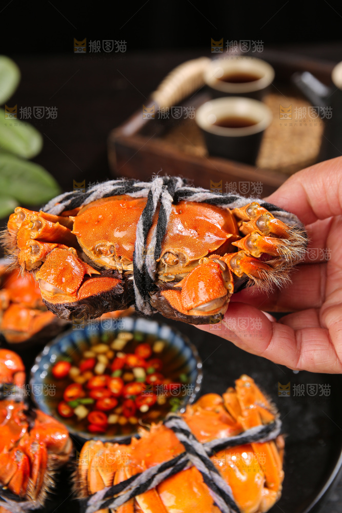 深底上的大闸蟹