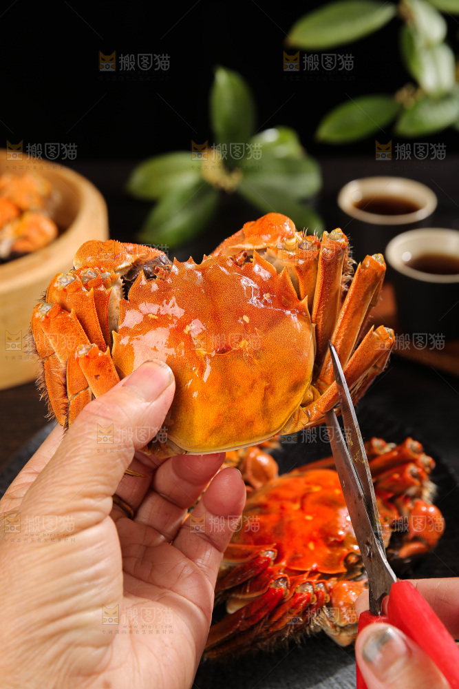 深底上的大闸蟹