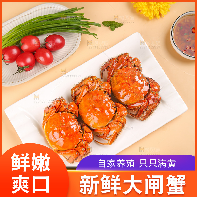 浅底上的大闸蟹