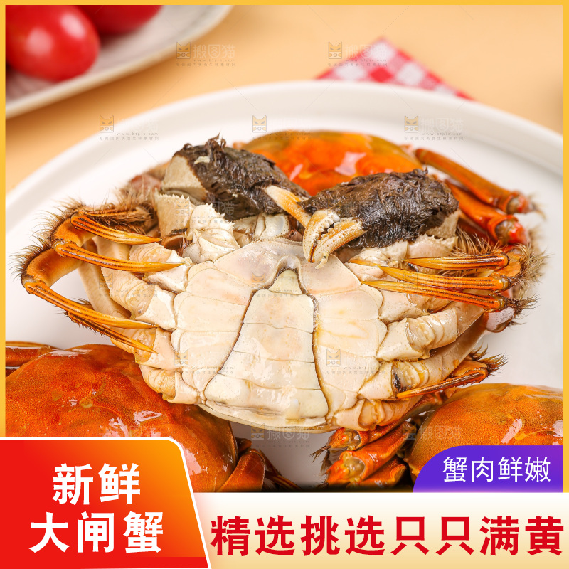 浅底上的大闸蟹