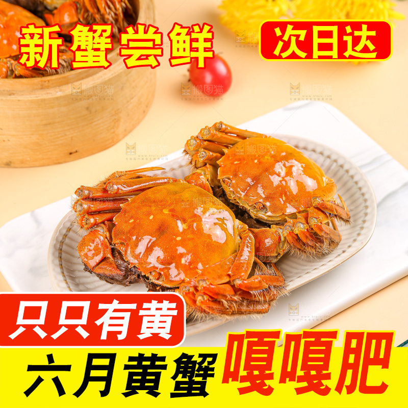 浅底上的大闸蟹