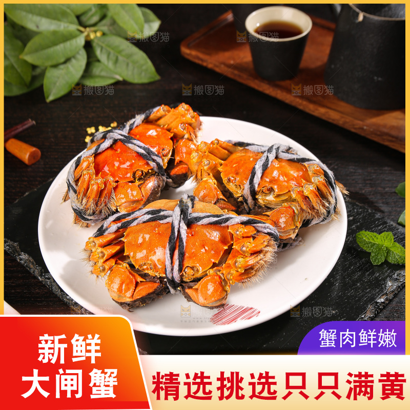 深底上的大闸蟹