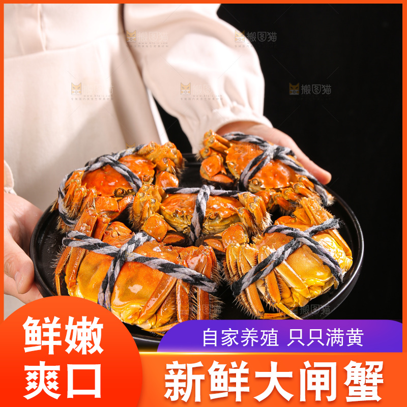 深底上的大闸蟹