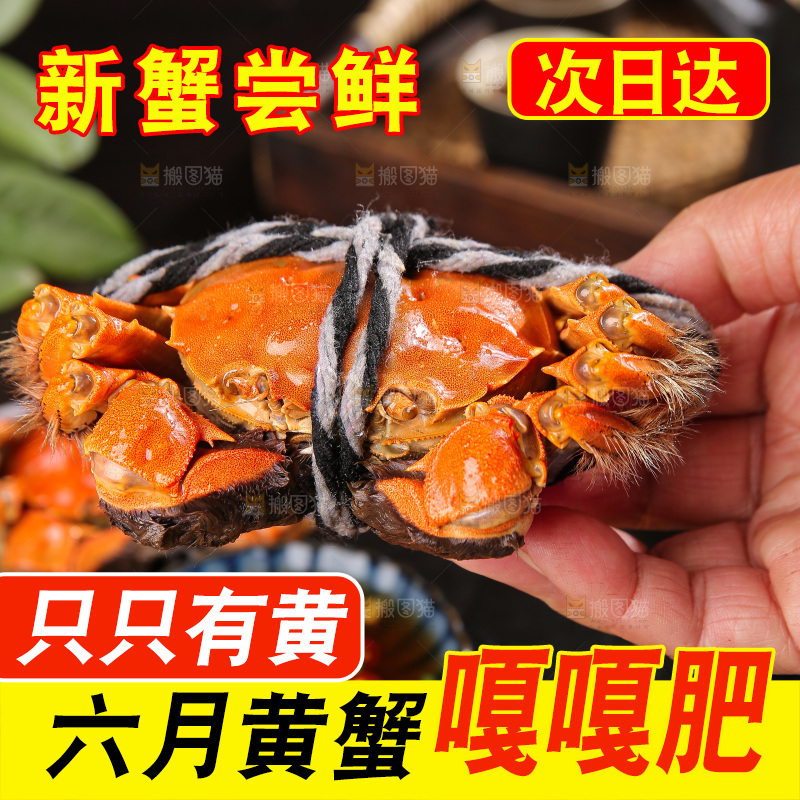 深底上的大闸蟹