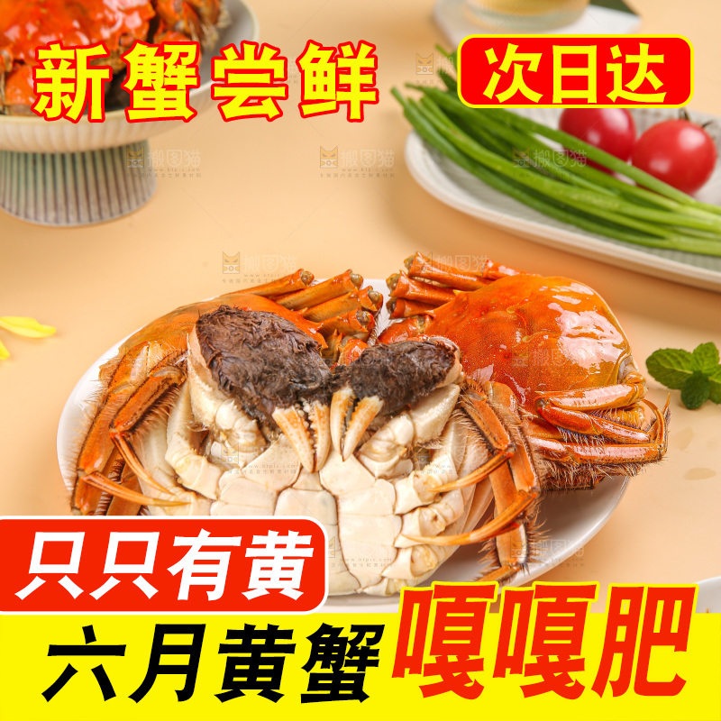 浅底上的大闸蟹