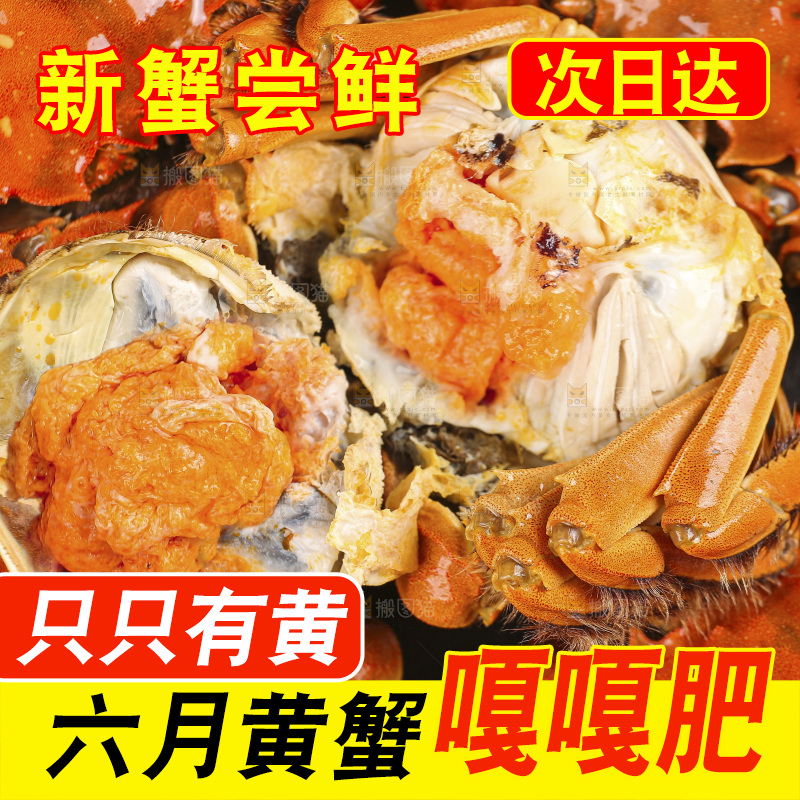 浅底上的大闸蟹