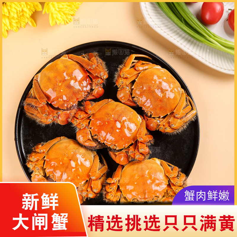 浅底上的大闸蟹
