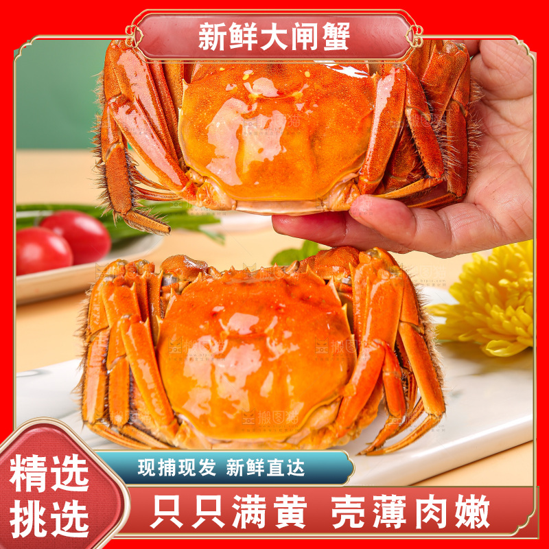 浅底上的大闸蟹