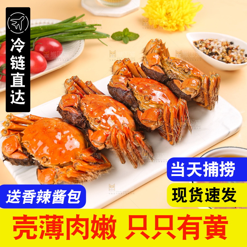 浅底上的大闸蟹