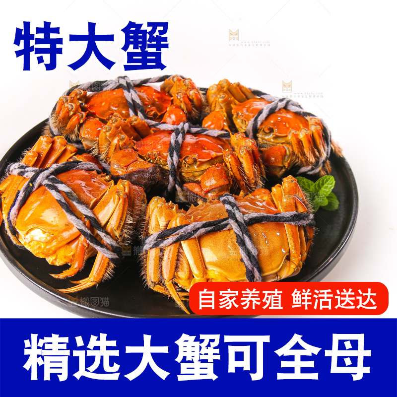 白底上的大闸蟹