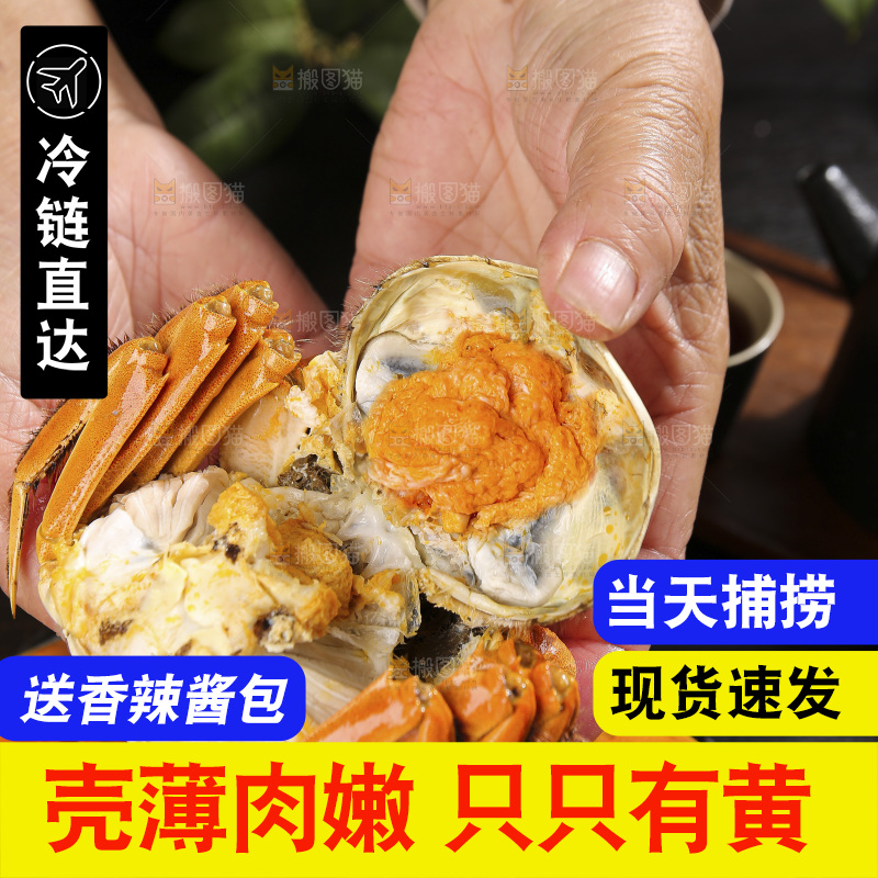 深底上的大闸蟹