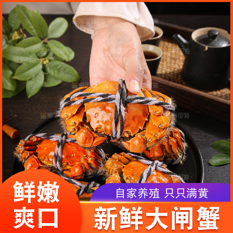 深底上的大闸蟹