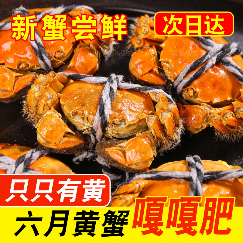 深底上的大闸蟹
