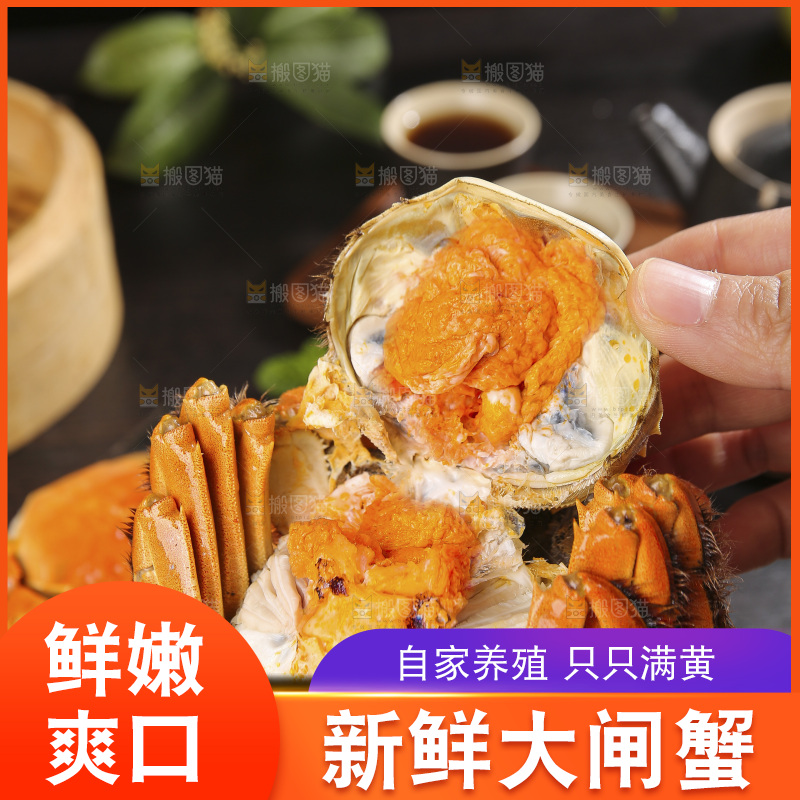 深底上的大闸蟹