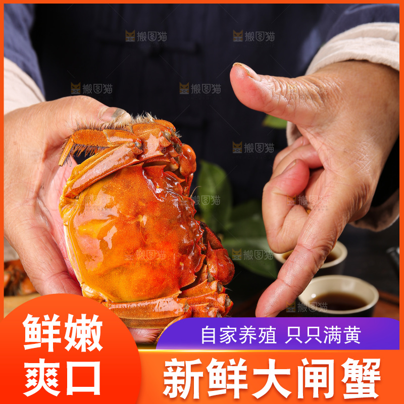 深底上的大闸蟹