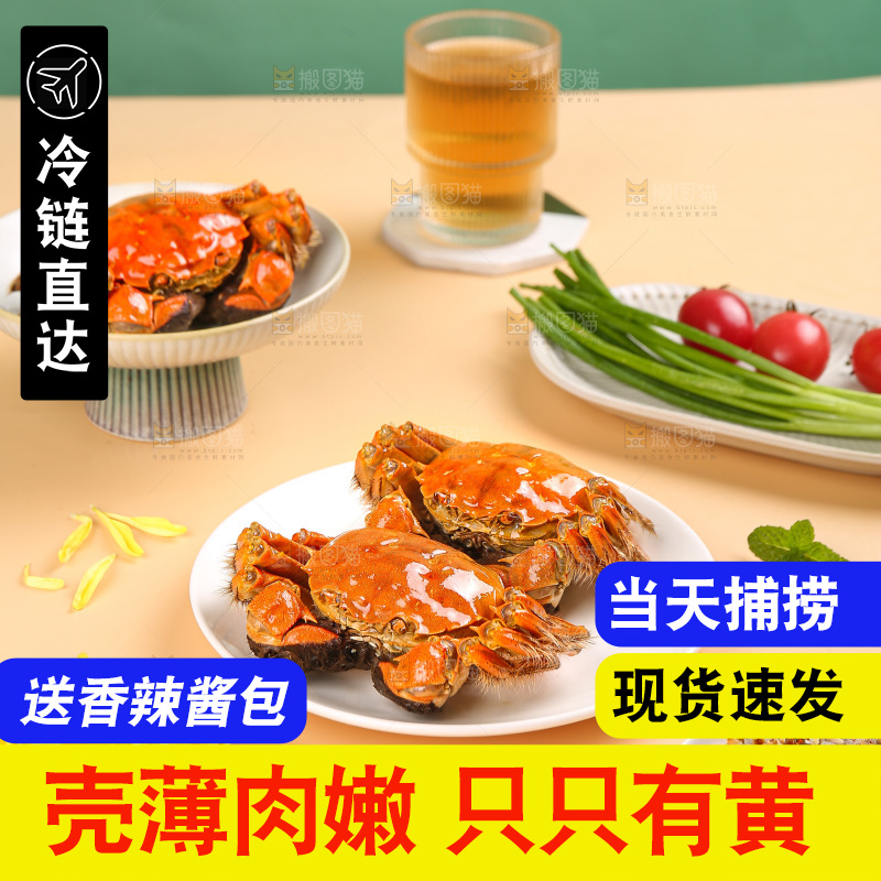 浅底上的大闸蟹