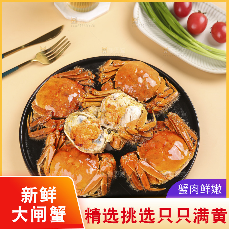 浅底上的大闸蟹