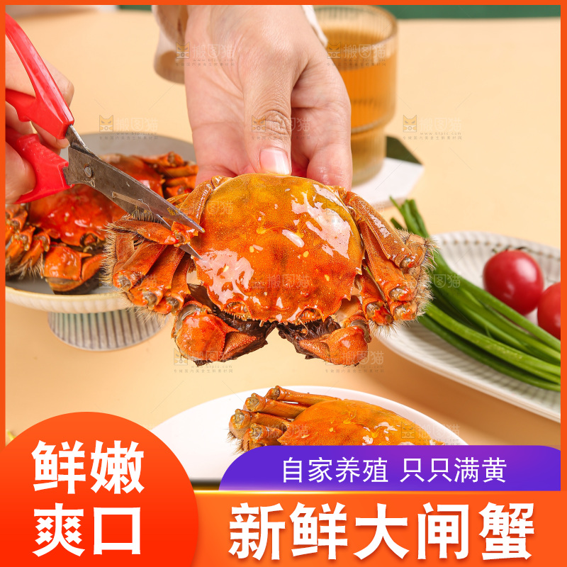 浅底上的大闸蟹