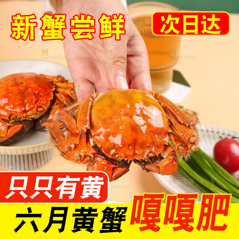 浅底上的大闸蟹