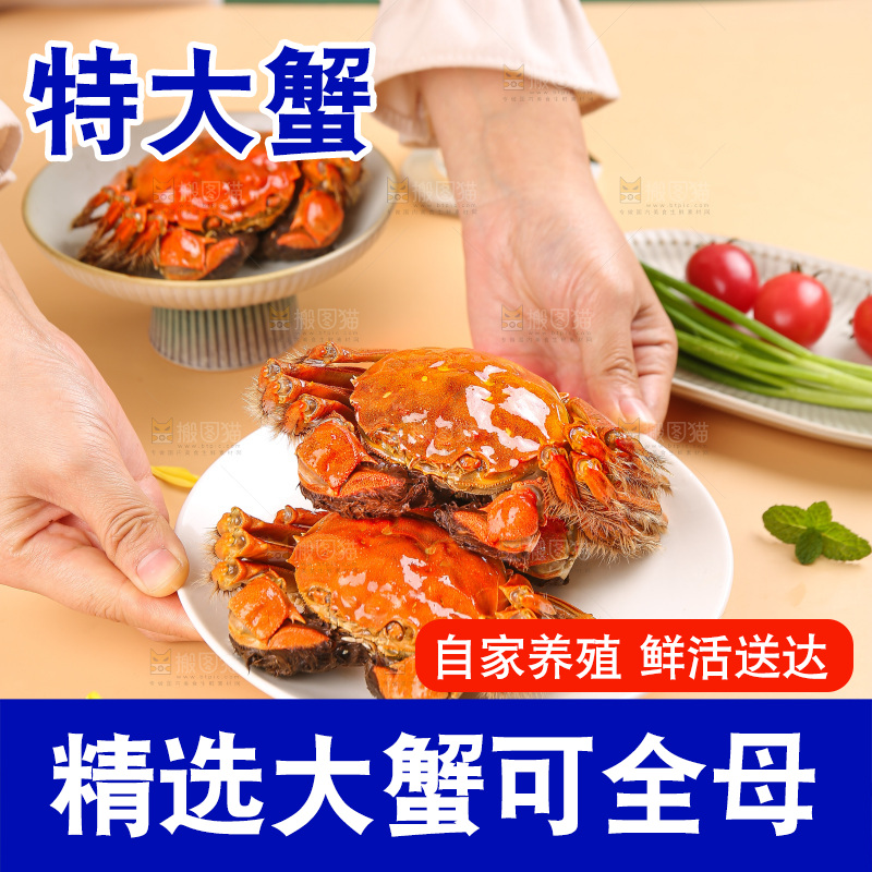 浅底上的大闸蟹