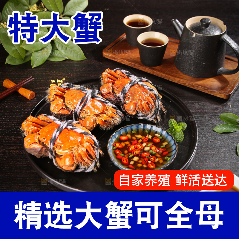 深底上的大闸蟹