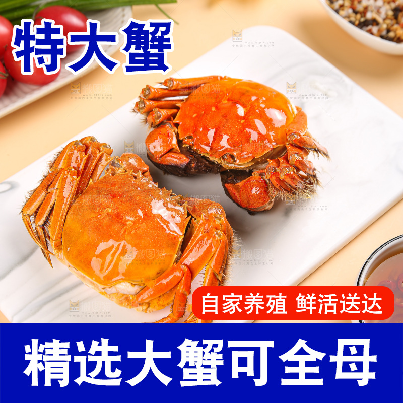 浅底上的大闸蟹