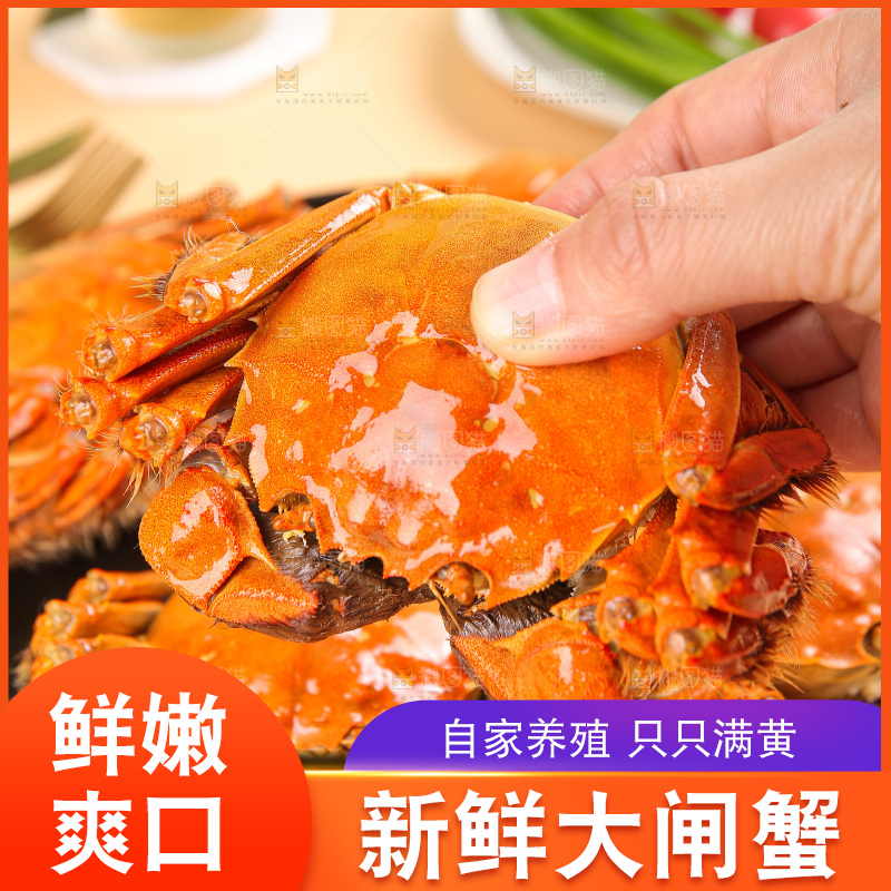浅底上的大闸蟹