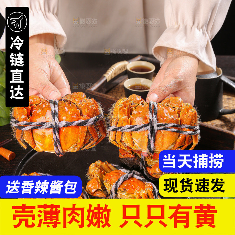 深底上的大闸蟹