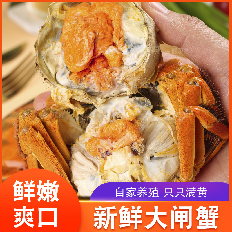 浅底上的大闸蟹
