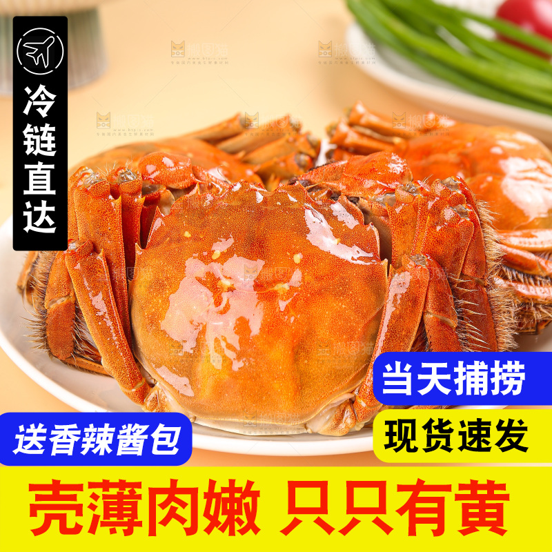 浅底上的大闸蟹