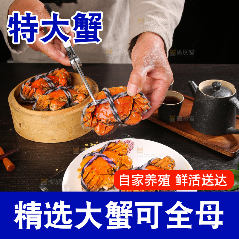 深底上的大闸蟹
