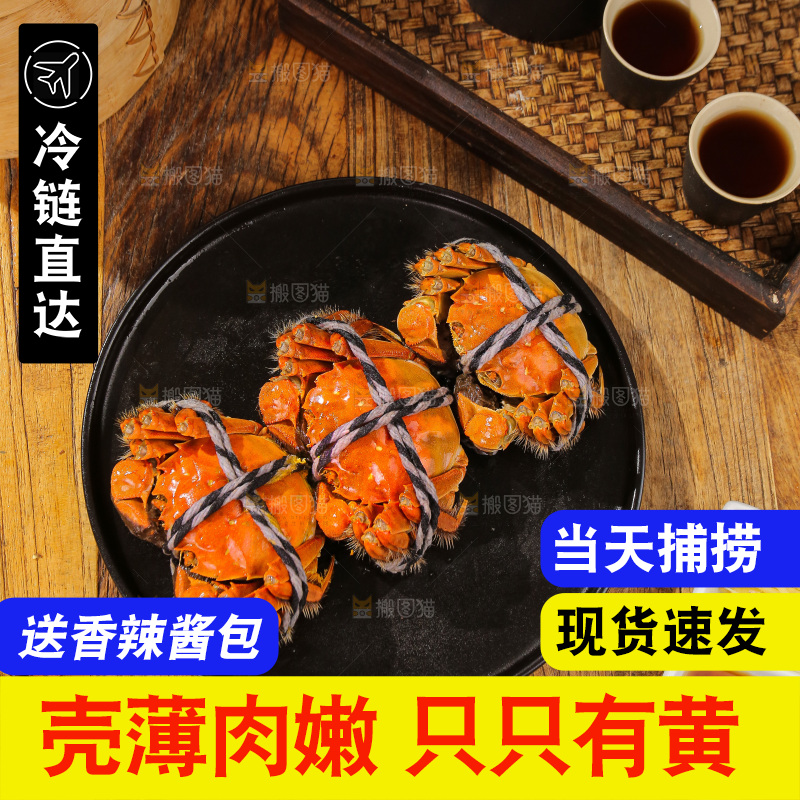 深底上的大闸蟹